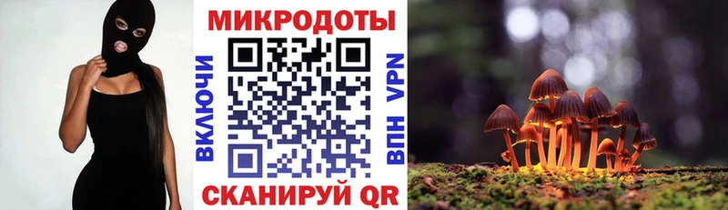 Псилоцибиновые грибы Magic Shrooms  где купить наркоту  Барнаул 